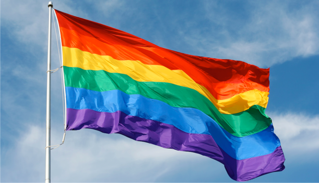Regenboogvlag.png