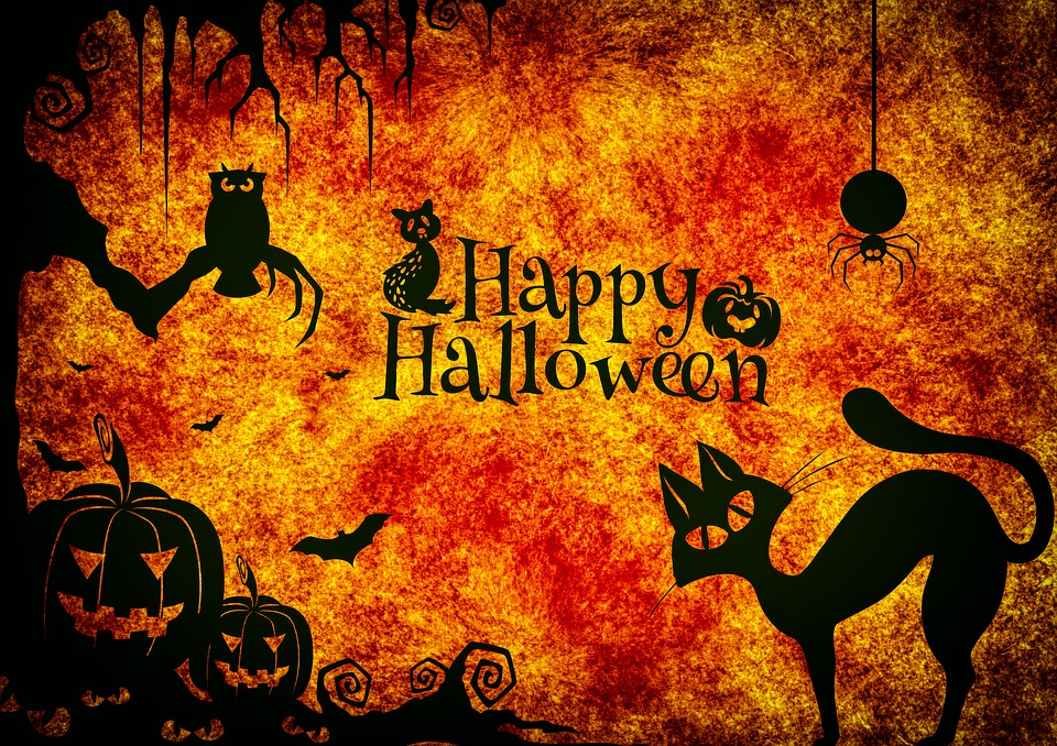 halloween-3751095_960_720.jpg
