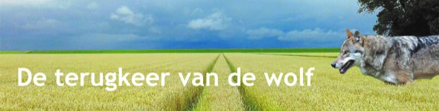 Terugkeer_van_de_wolf.jpg