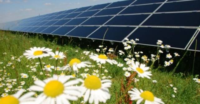 zonnepanelen.jpg