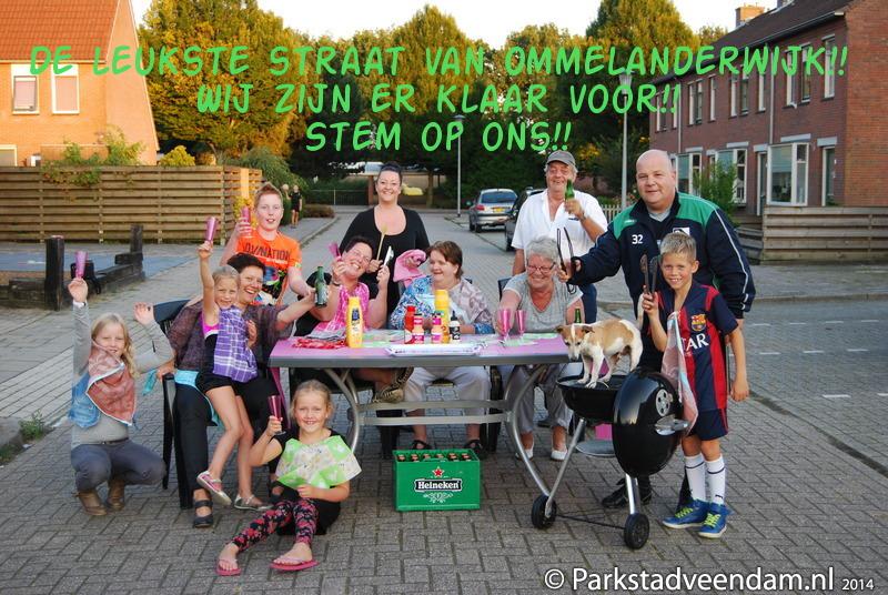 20140916_Straatnaambordje Roerdomstraat zoek.jpg