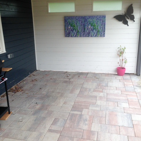 20160620_image2A.JPG