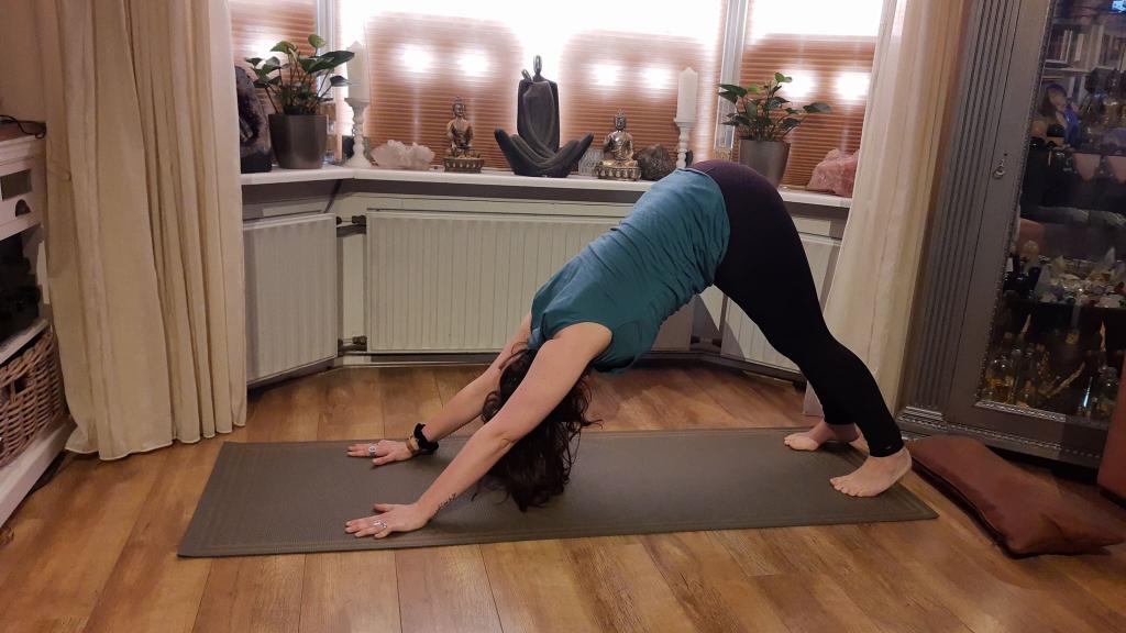 yoga asana.jpg