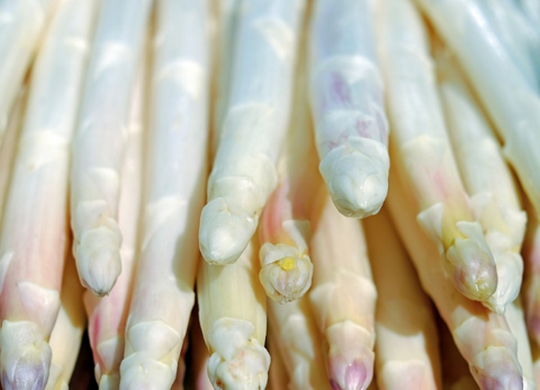 Doornbosch asperges 02_resize.png