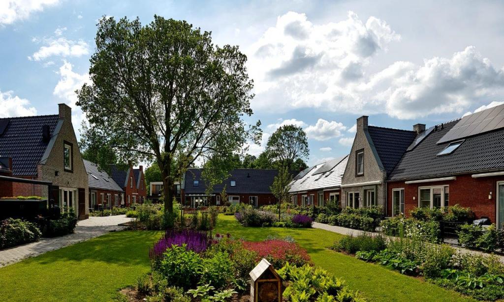 Aahof boom, topgevel en hofhuys - kopie.jpg