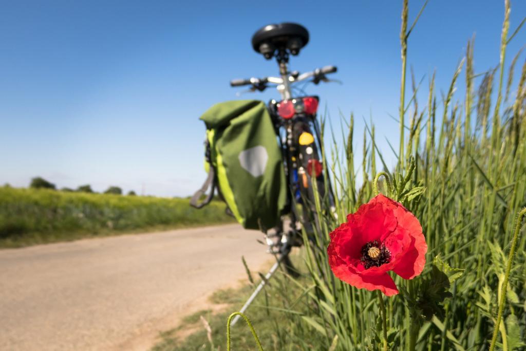Thomas B to-go-biking-5178398_1920.jpg