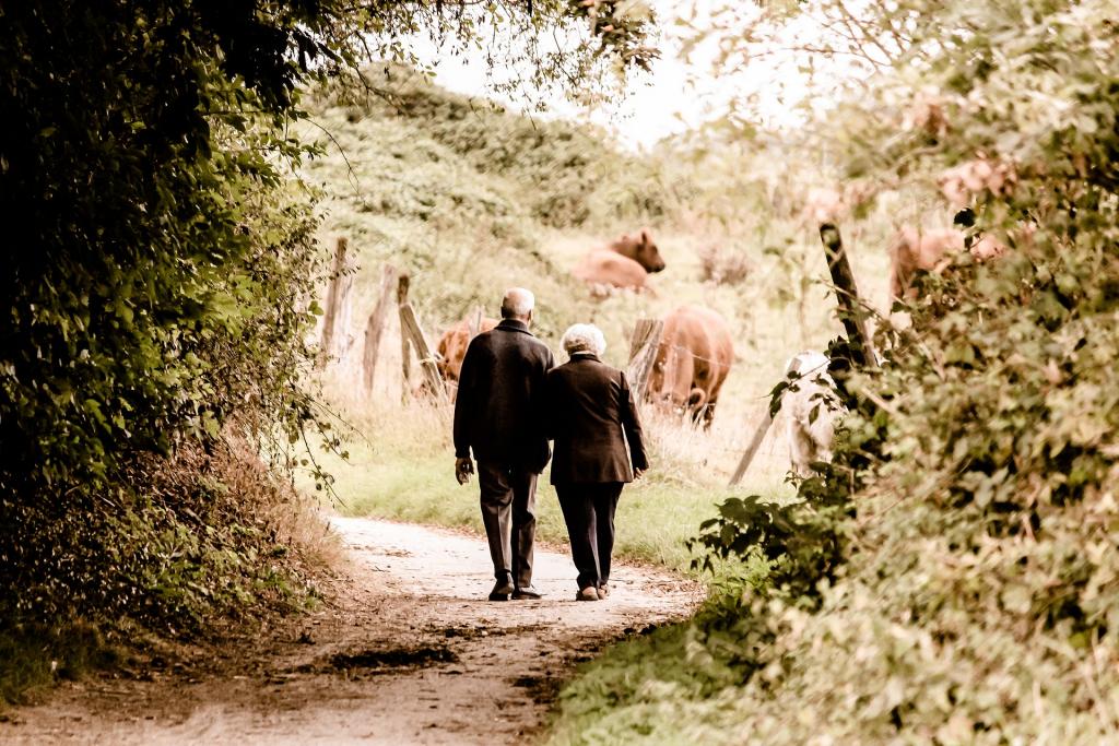 elderly-gf0f809383_1920.jpg