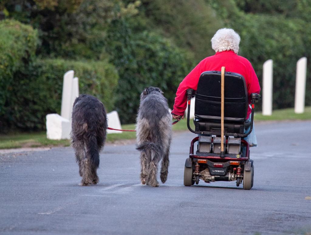 TheOtherKev dog-walking-4426782_1920.jpg
