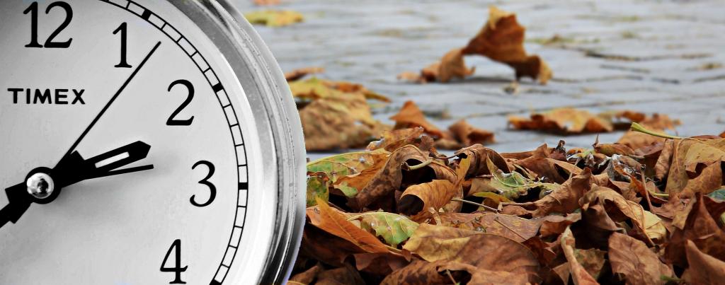 autumn-2896572_1920.jpg