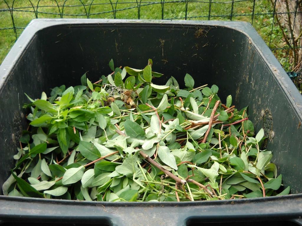green-waste-486011_1920.jpg