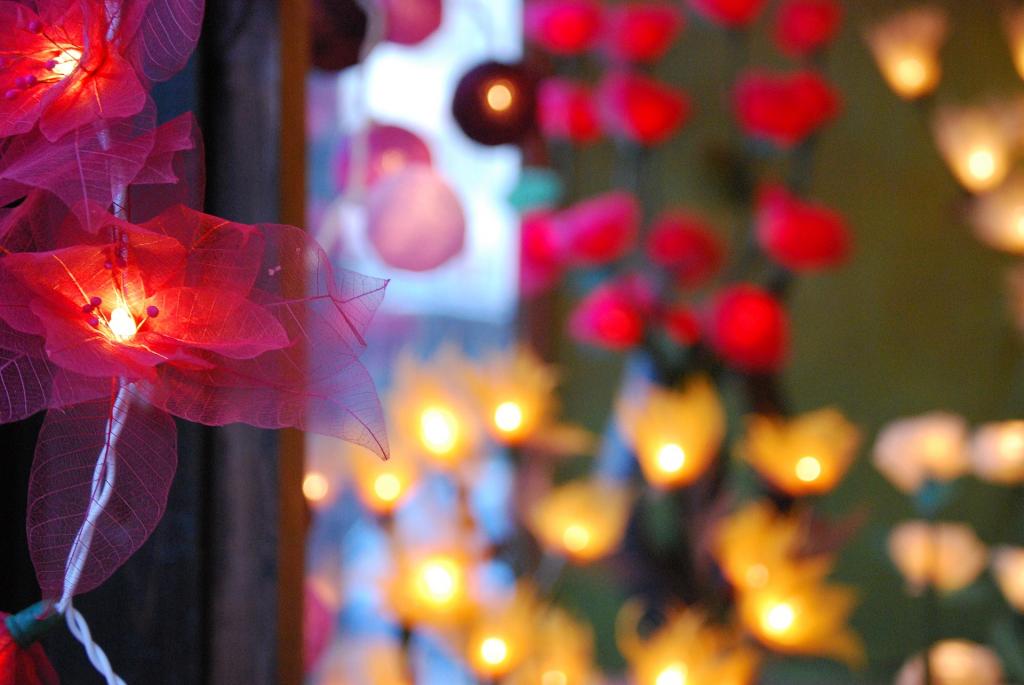 Ljiljana Plavsic-lights-574322_1920.jpg