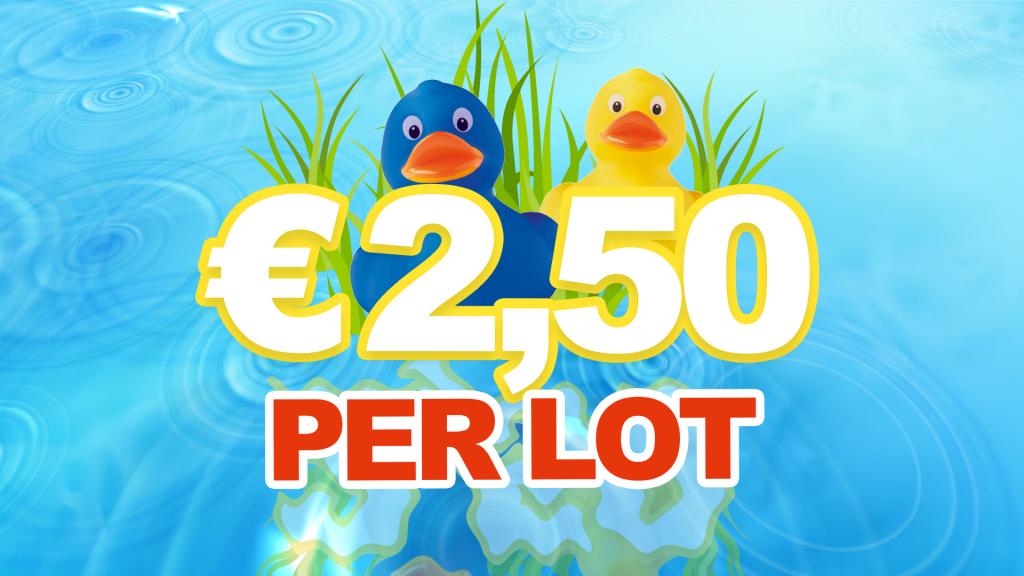 badeendjes 3.jpg