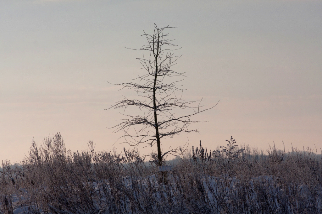 20160214_Heemtuin_Marten_Drenth_00.png