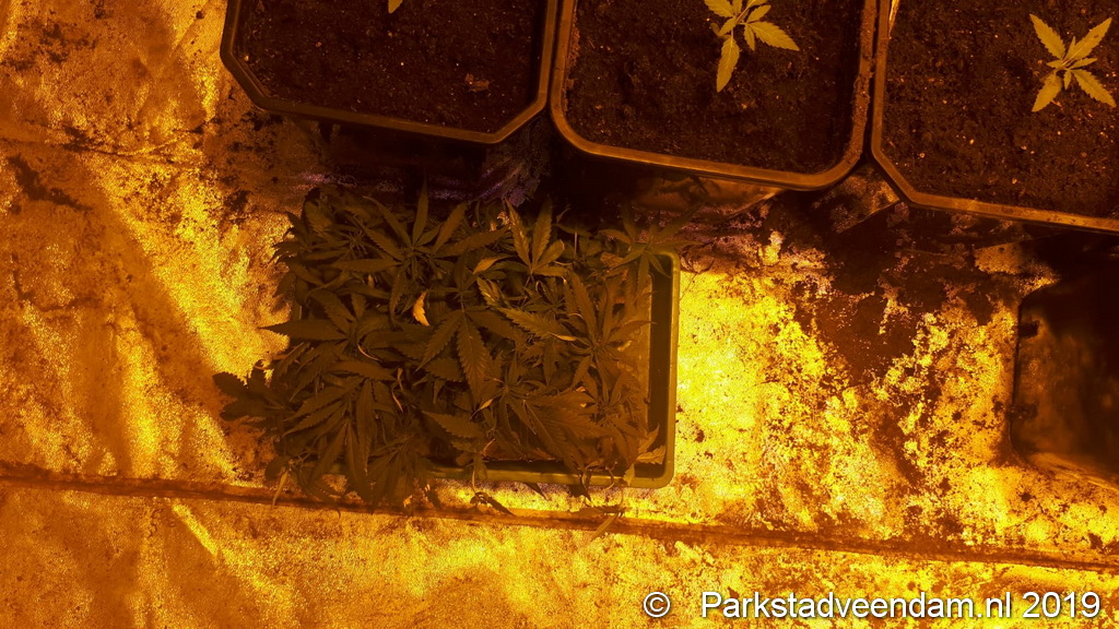 IMG-20190613-WA0006.jpg