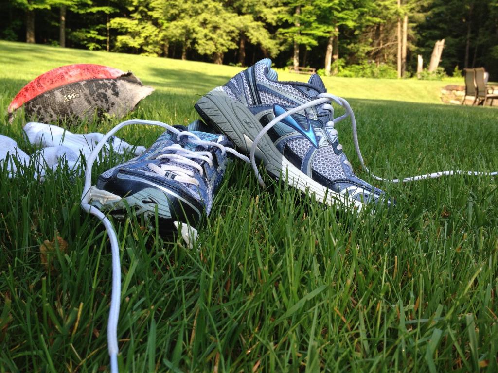 lisawood sneakers-1365662_1920.jpg